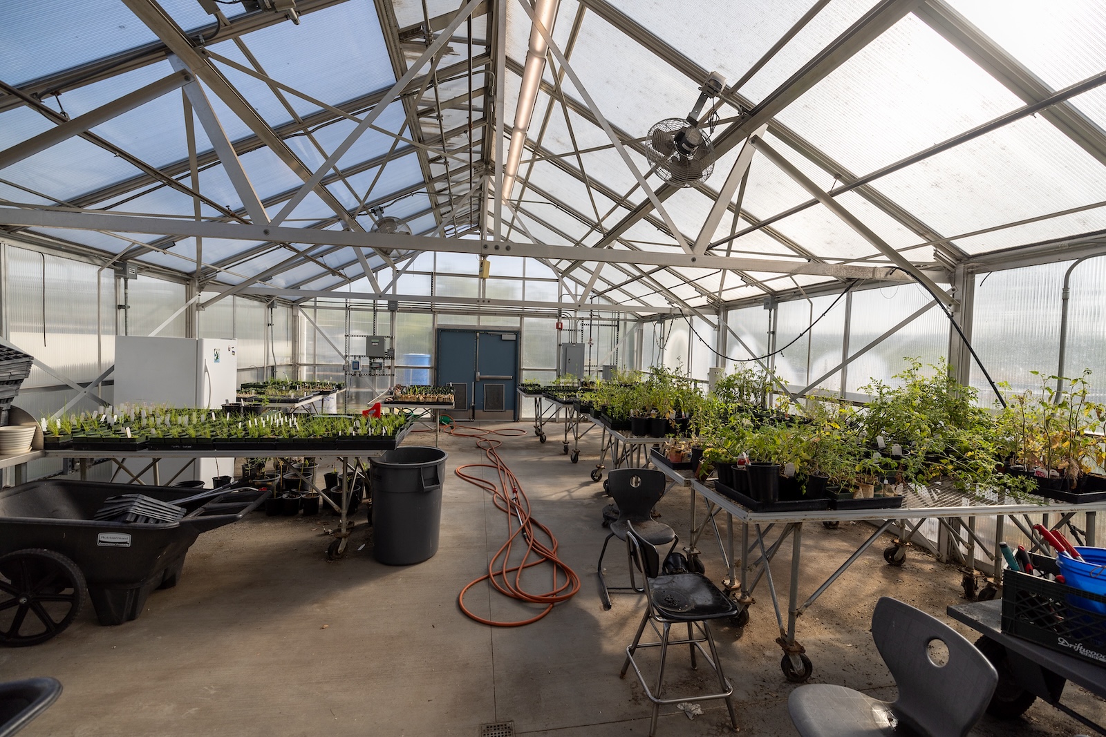 Interior shot of a greenhouse with tables holding plant sprouts