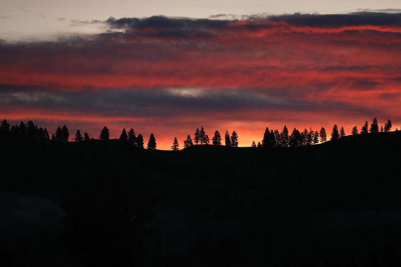 Sun rising behind a ridge of trees in 2019 near Missoula, Montana, creating an orange and red sky