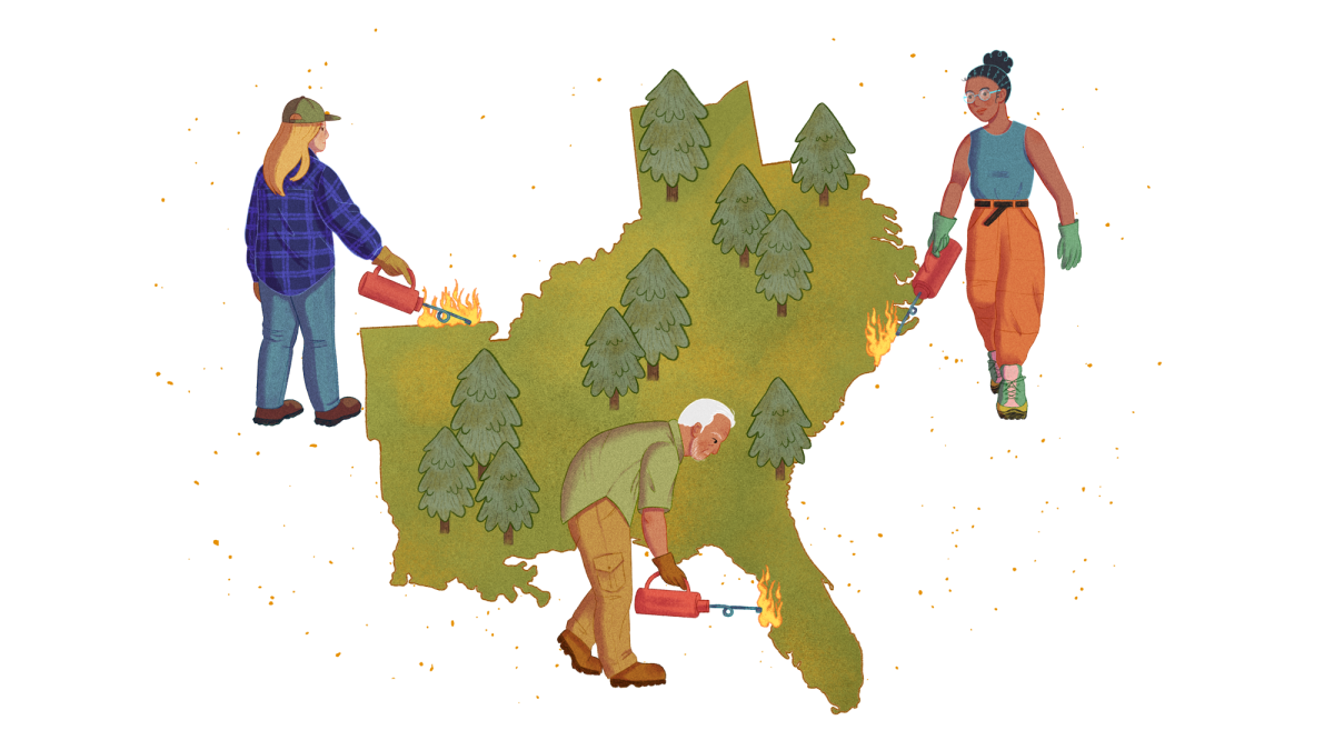 illustration of 3 people with equipment doing a prescribed burn to the silhouette of southeast states