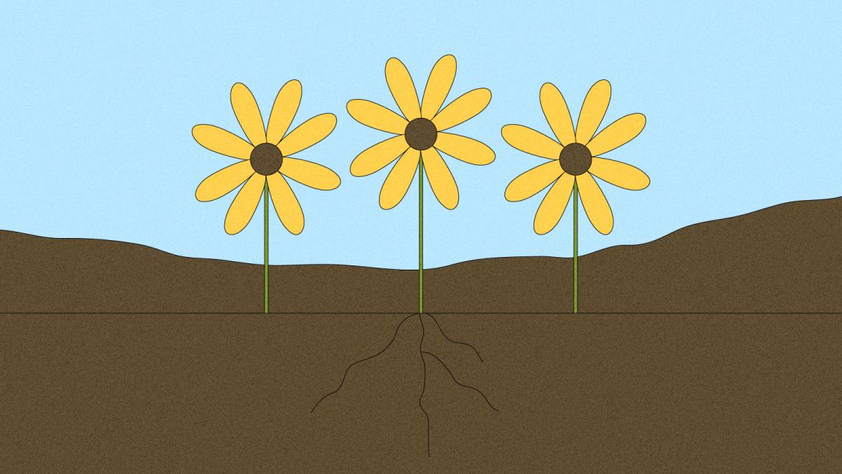 Illustration of three sunflowers in a brownfield