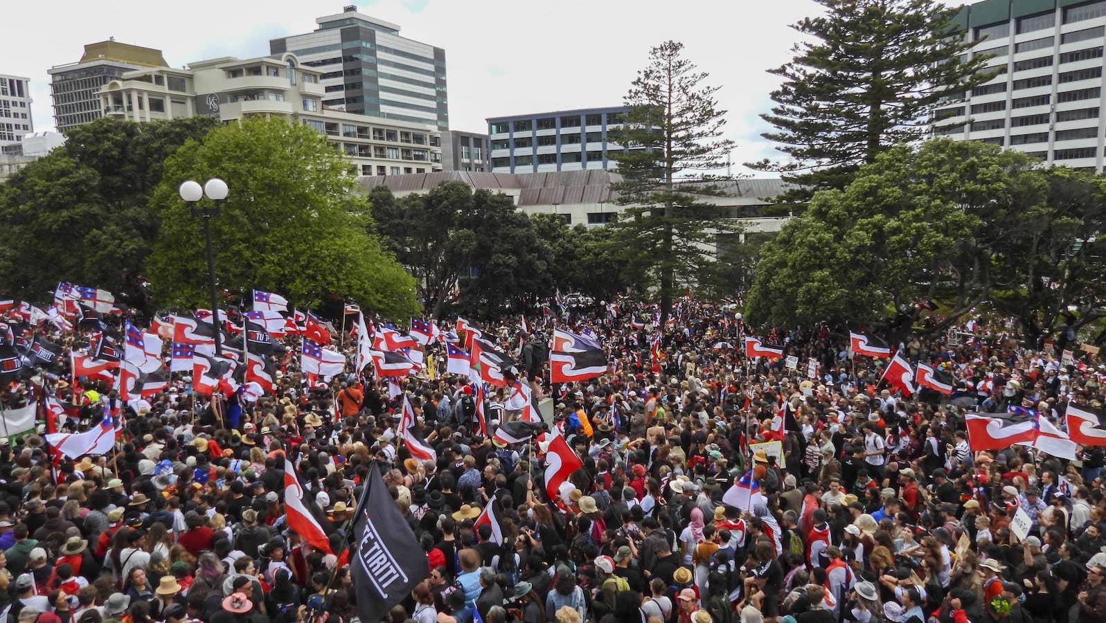 Mass protests against New Zealand's effort to weaken Māori rights — and hurt the planet