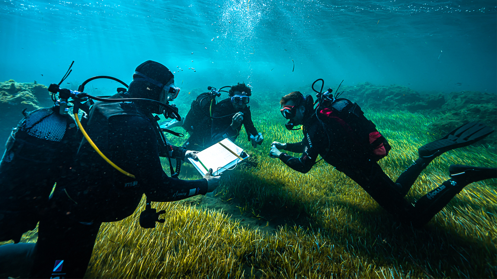 three men in scuba suits under water huddle around a clipboard and scientific instruments. green sea grass is under them. the blue of the water above them is light and effuse with light.