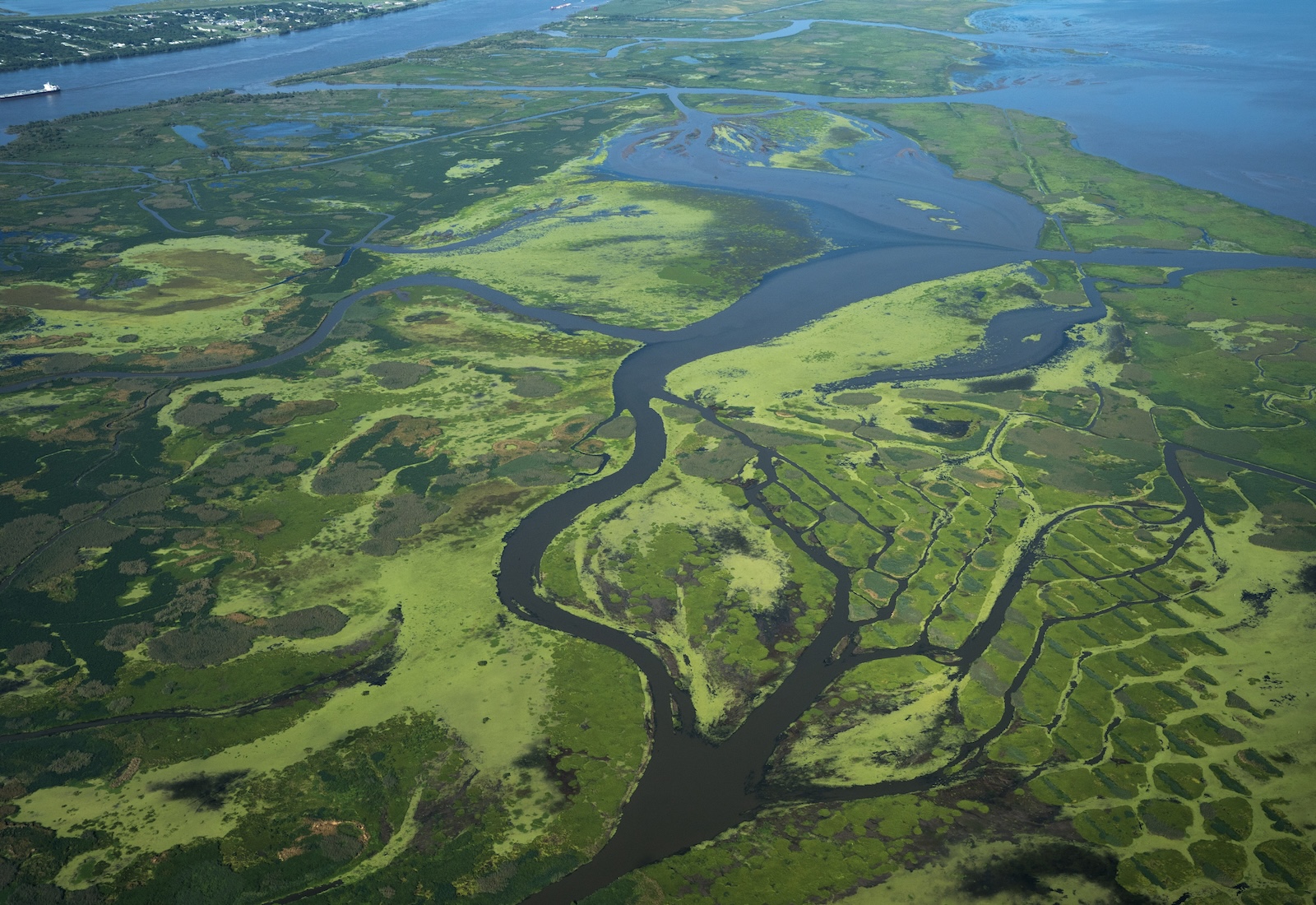 Aerial view of the Mississippi River Delta, with large green patches of land and blue tributaries running through it.