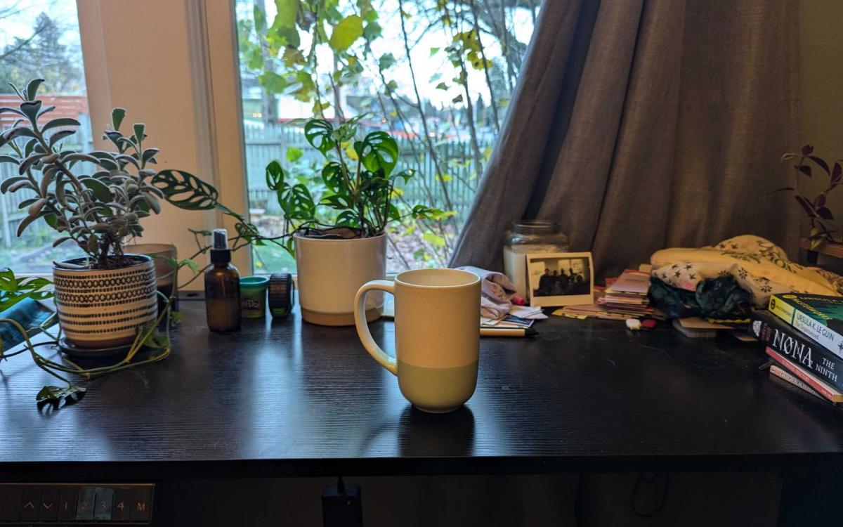 A photo of a green and white mug sitting on a desk with potted plants, books, and other bits and bobs around it