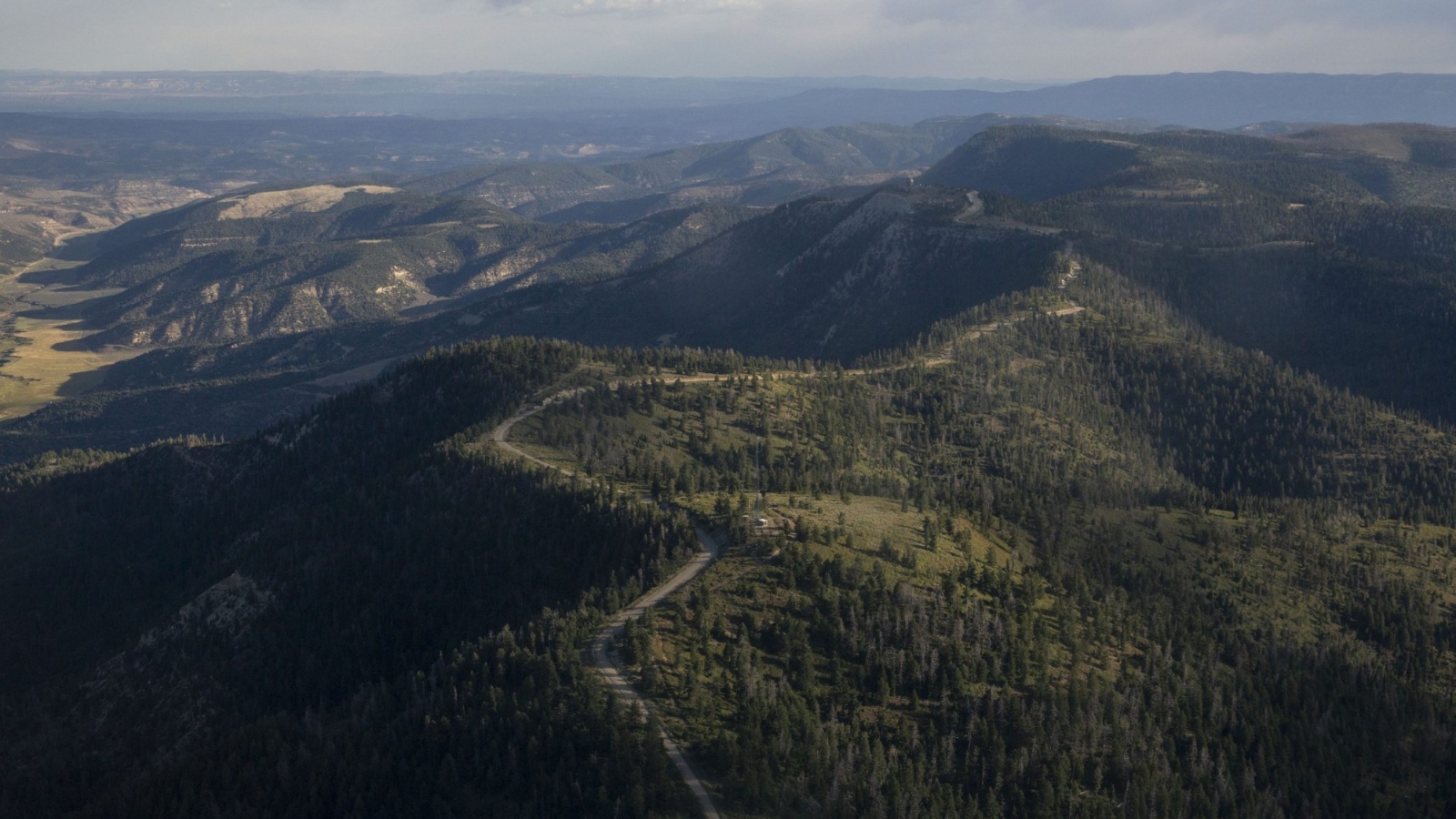 An aerial shot of a green forest running along a mountain ridge with a road in the middle