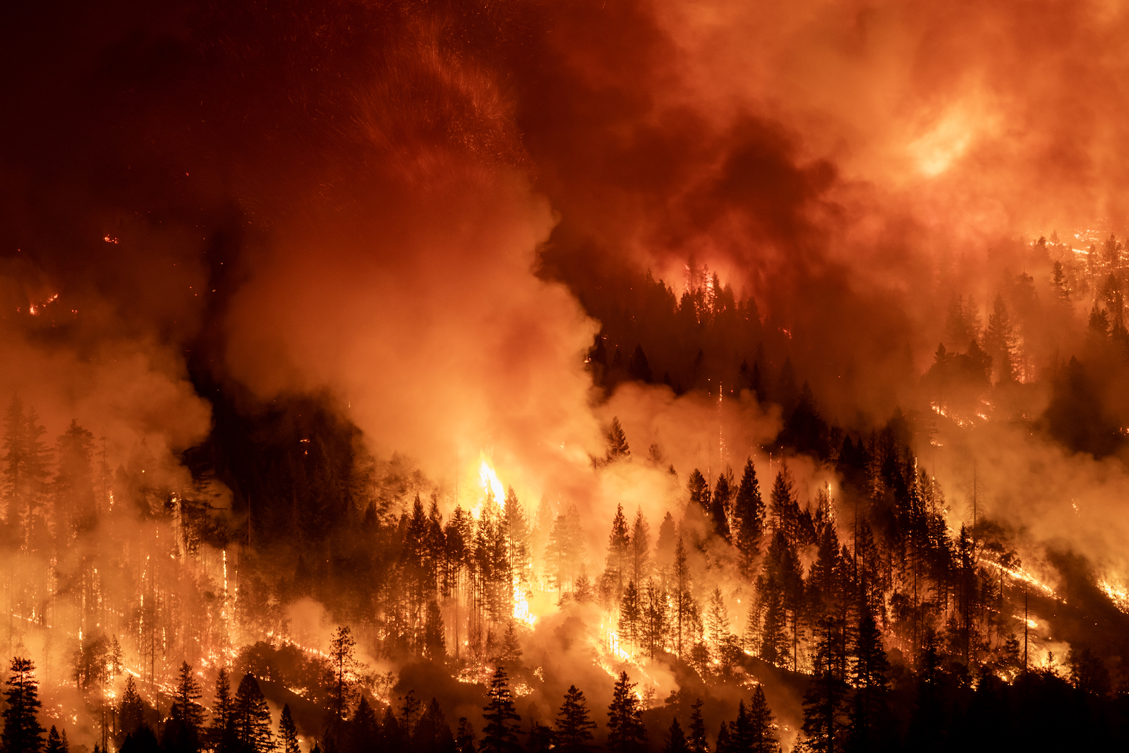 a large wildfire with plums of smoke and flame