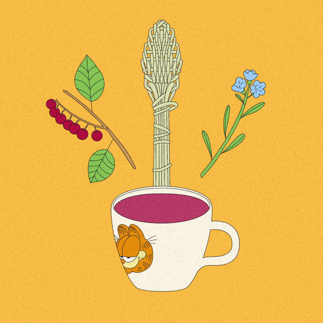 Illustration of a branch with chokecherry berries, a spoon woven out of bear grass, bluebells, and a mug of Hawthorne berry tea