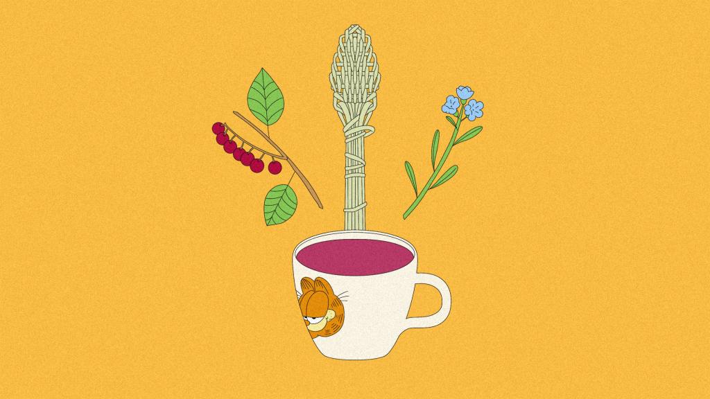 Illustration of a branch with chokecherry berries, a spoon woven out of bear grass, bluebells, and a mug of Hawthorne berry tea