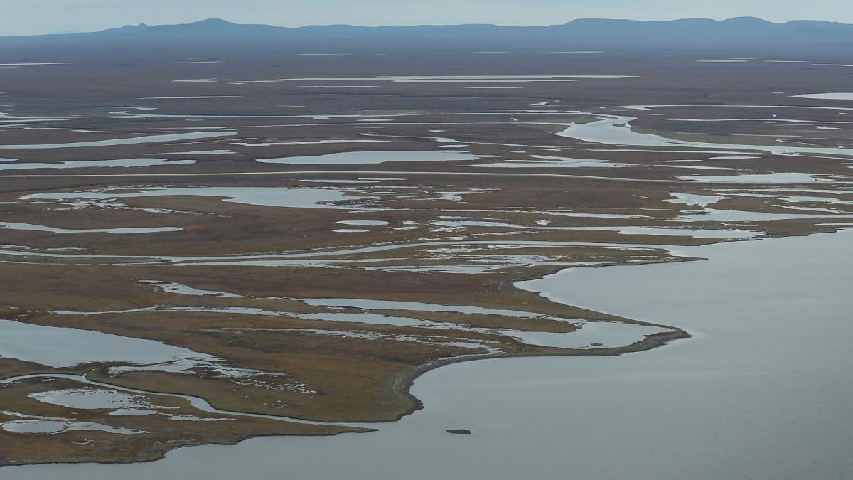 a large expanse of gre-green land, interrupted by large pools of water. there is a mountain ridge in the distance and what appears to be a river in the foreground