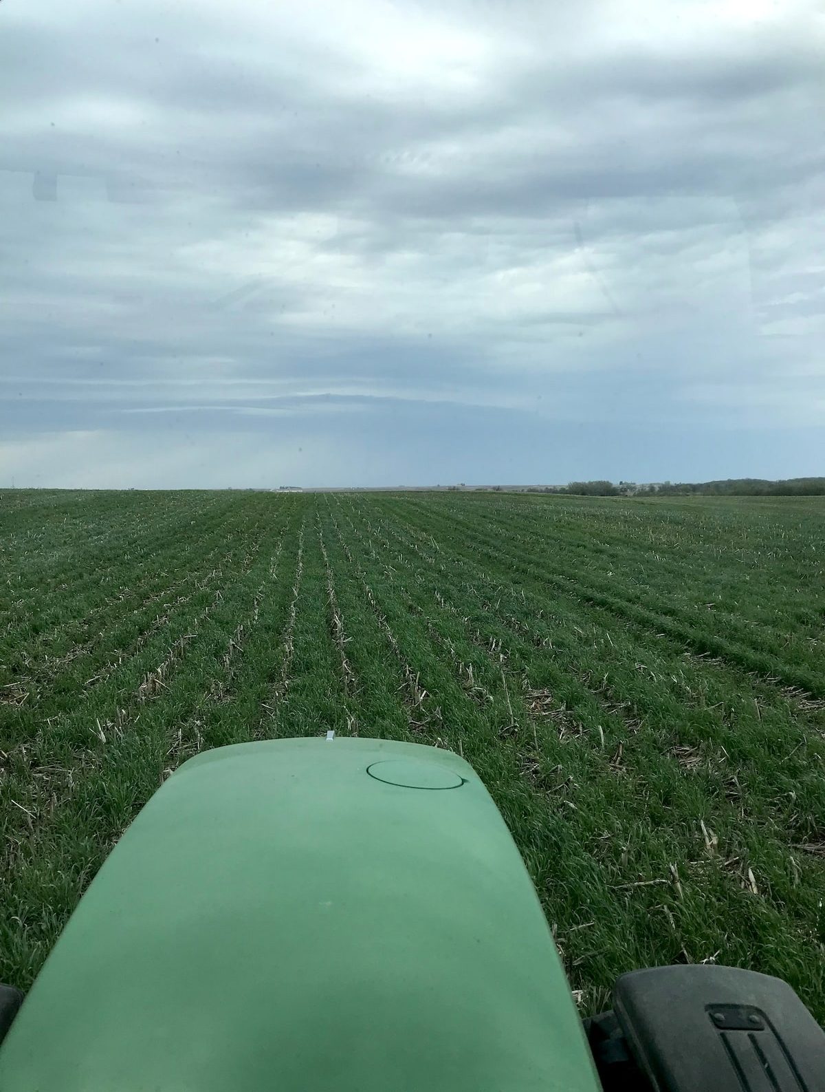 A point-of-view photo of a piece of farm equipment moving over green rows of crops