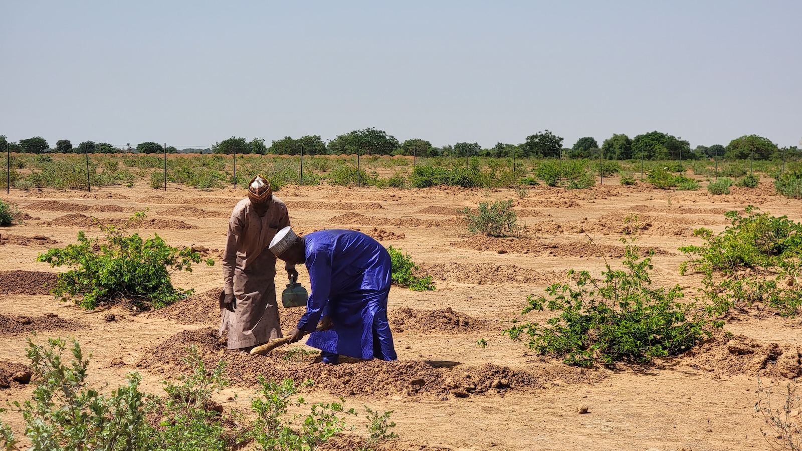 Three-quarters of the world’s land is drying out, ‘redefining life on Earth’