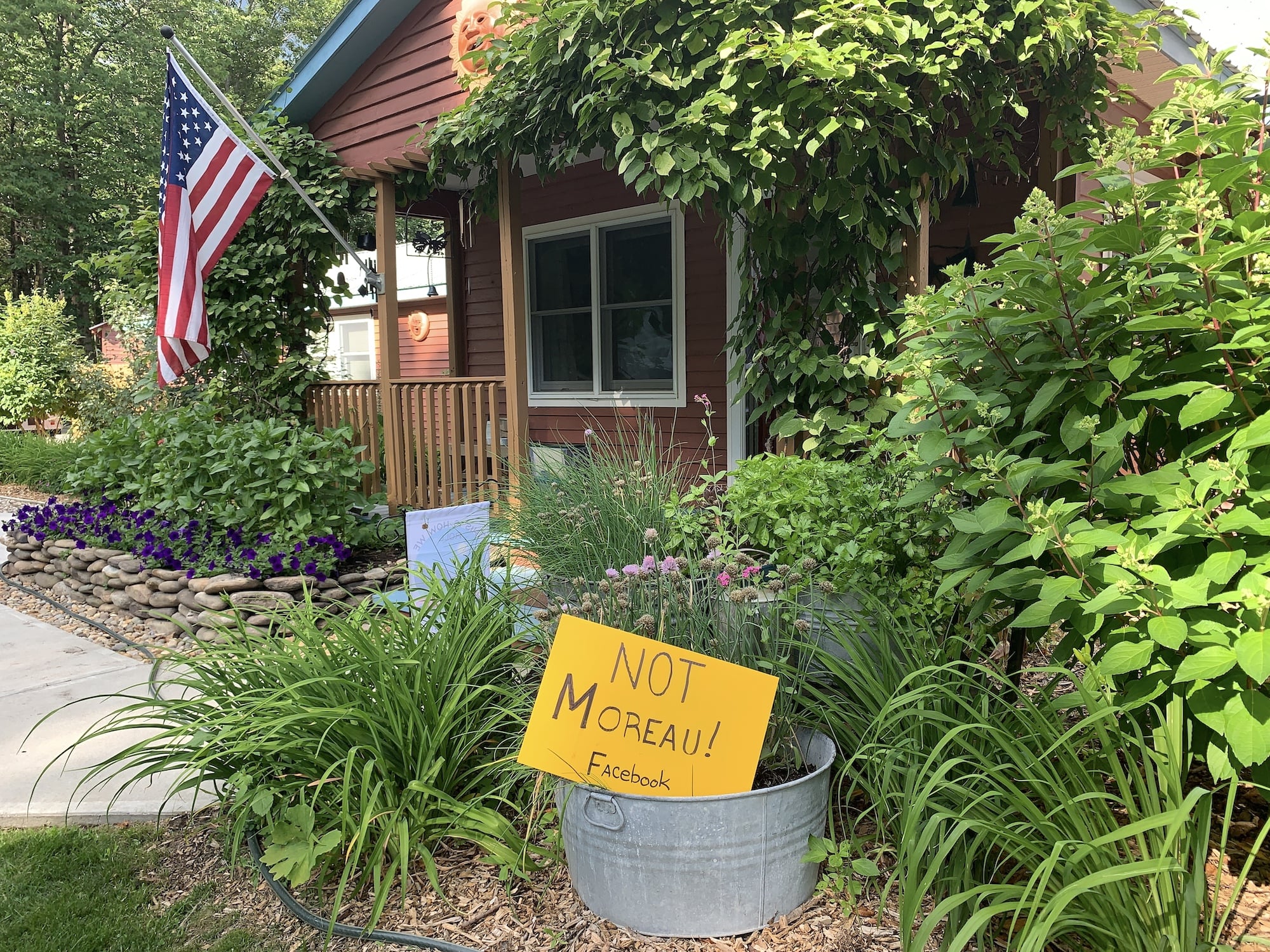 A yellow sign saying 'Not Moreau' stands in a plant pot outside of a house