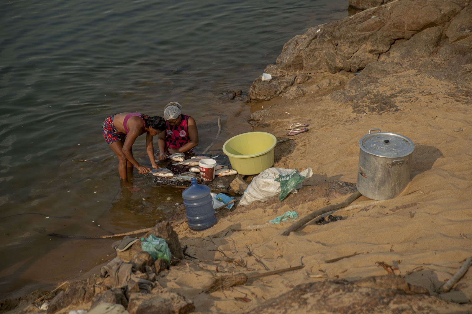 Two women stand in the water near a beach gathering fish into buckets