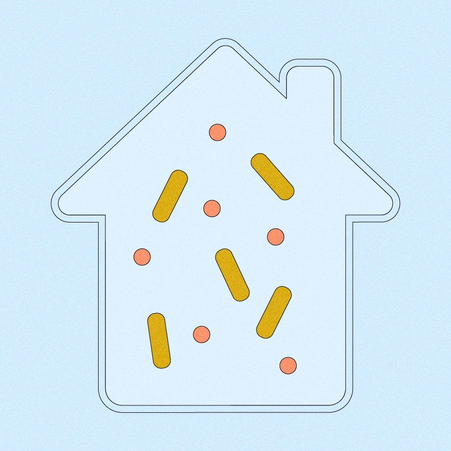 A petri dish, shaped like a house, containing bacteria