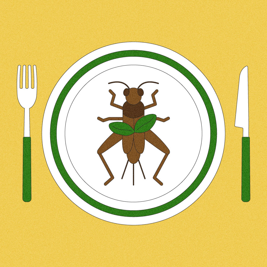 Illustration of a cricket, garnished with basil, on a dinner plate