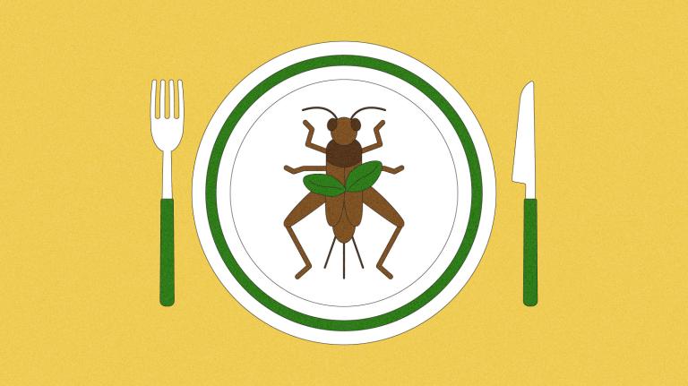 Illustration of a cricket, garnished with basil, on a dinner plate