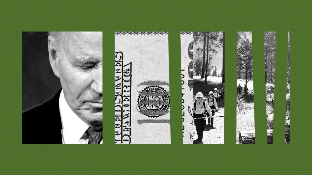 Collage of Joe Biden photo, dollar bill, and forest corps photo, cut up into smaller and smaller snippets