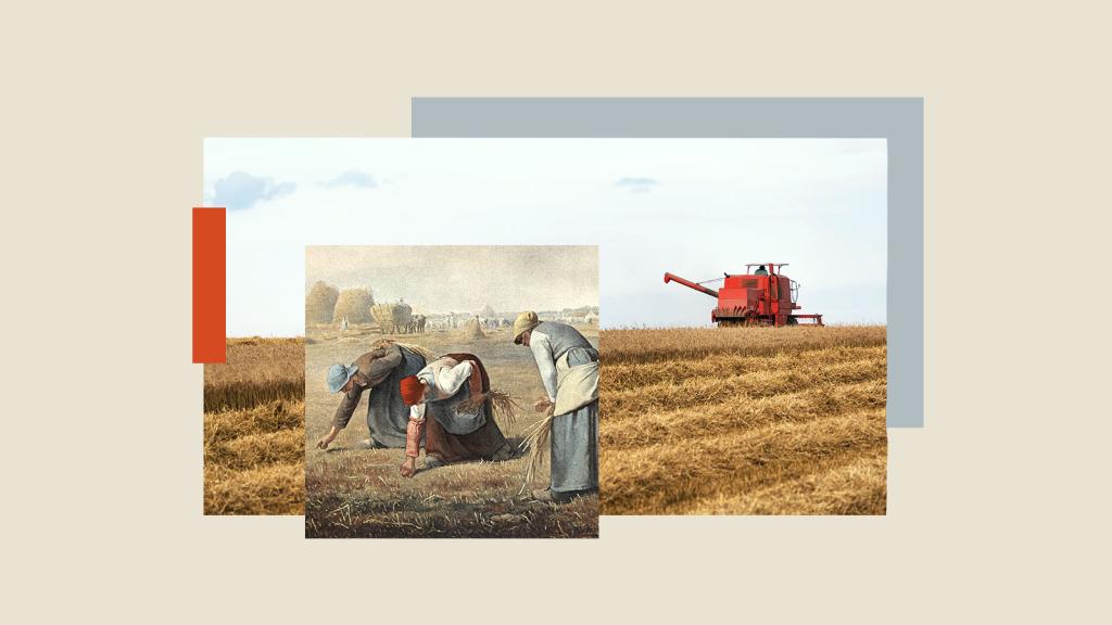 Collage of The Gleaners by Jean-François Millet and modern-day photo of combine in field
