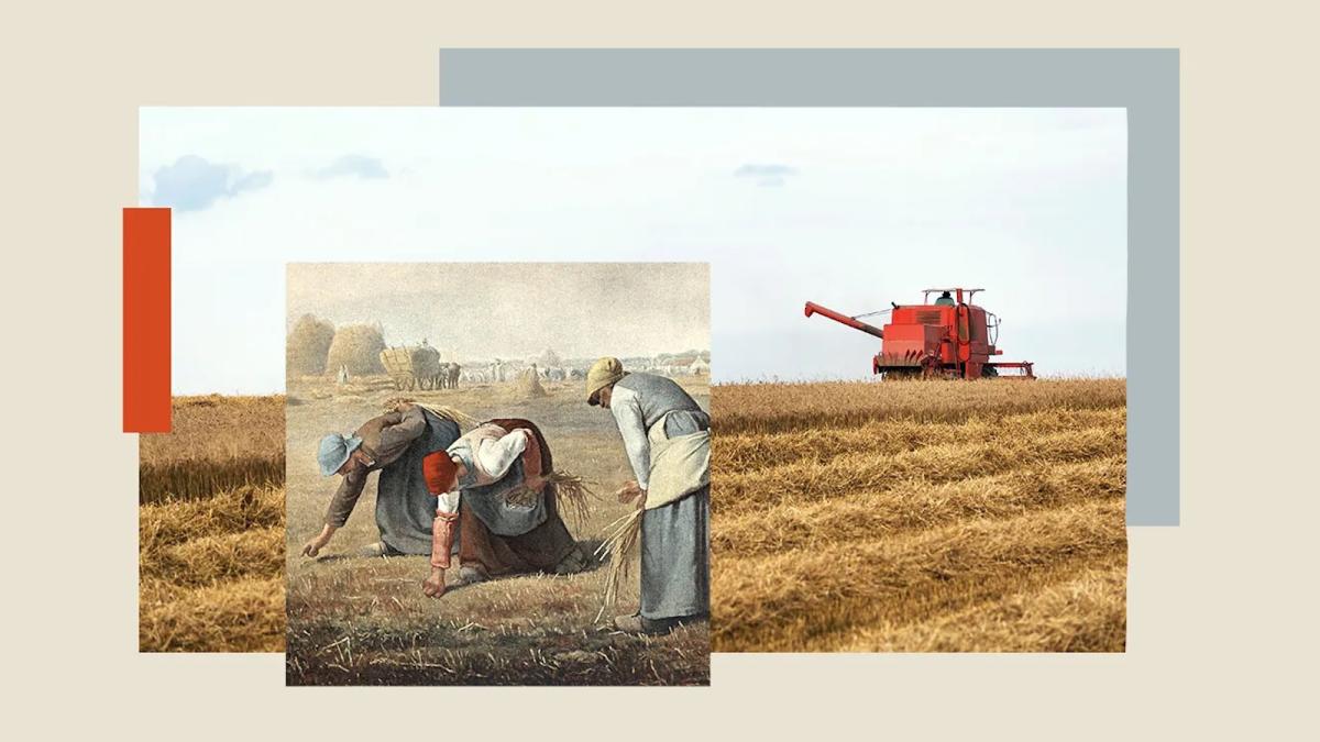 Collage of The Gleaners by Jean-François Millet and modern-day photo of combine in field