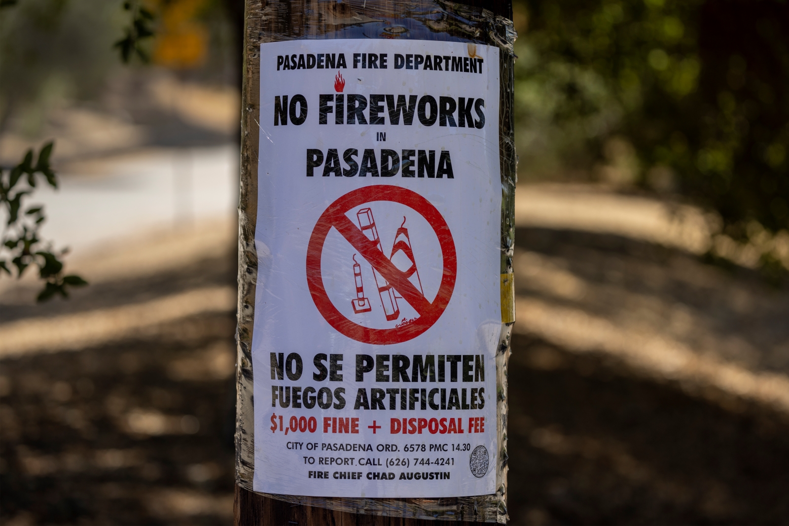 A sign is posted to a tree with tape and says "NO FIREWORKS PASADENA"