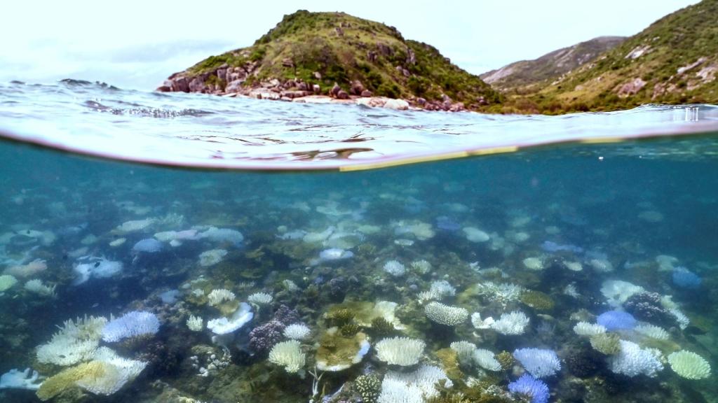 bleached white coral reefs are visible below a surfline with a moutain in the distance