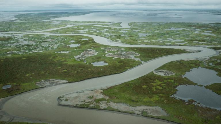 A river and marshes cut through a green landscape with the sea beyond