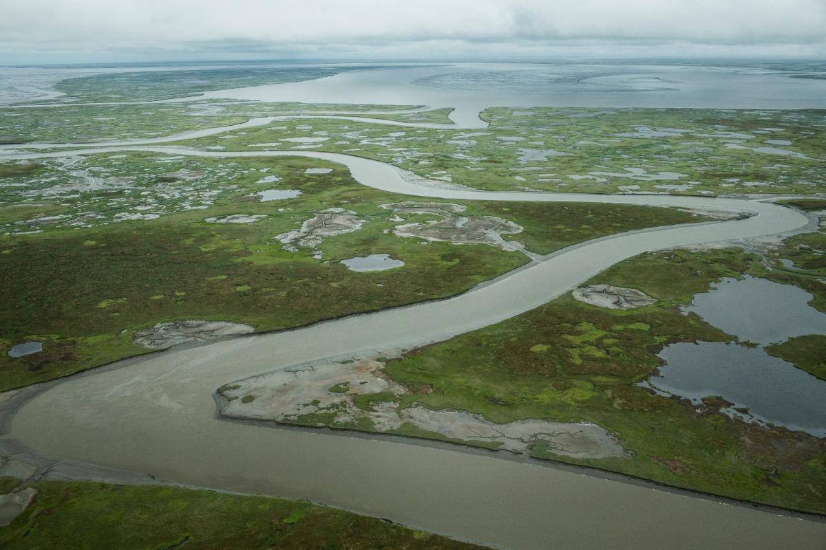 A river cuts through marshy green landscape with the sea beyond