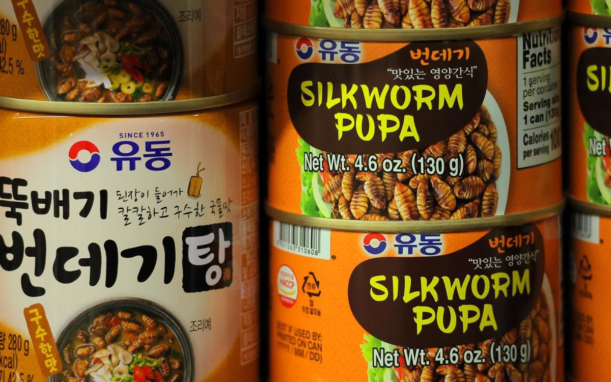 A photo of stacked cartons labeled silkworm pupa