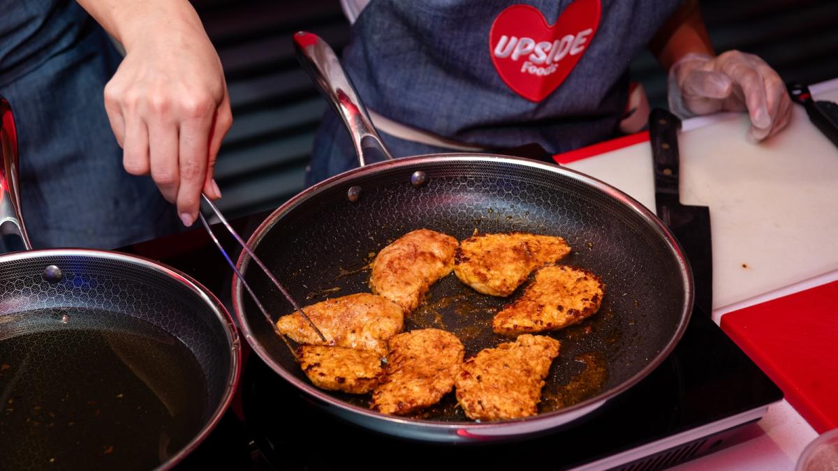 A cook grills several lab-grown chicken filets in a large pan