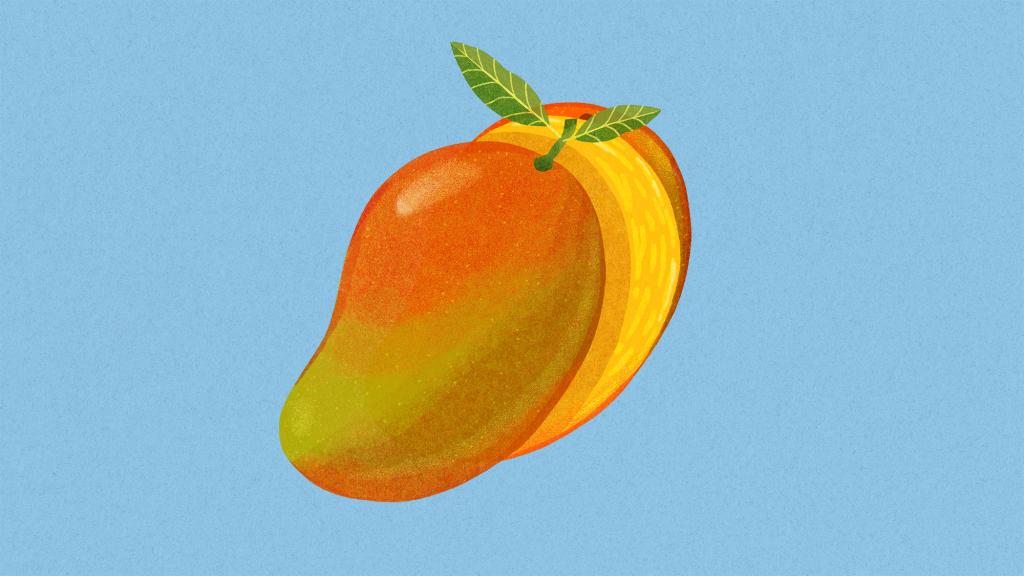 illustration of a mango