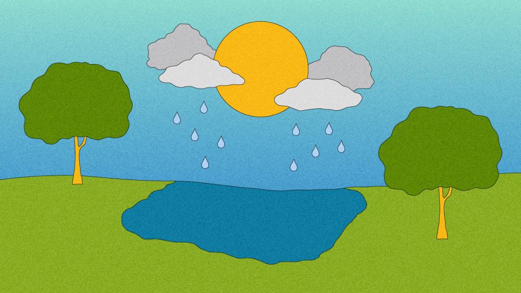 Illustration of park with pond catching stormwater