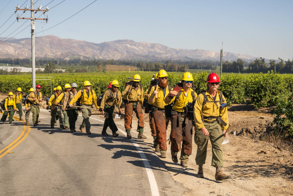 Line of forest service firefighters walking