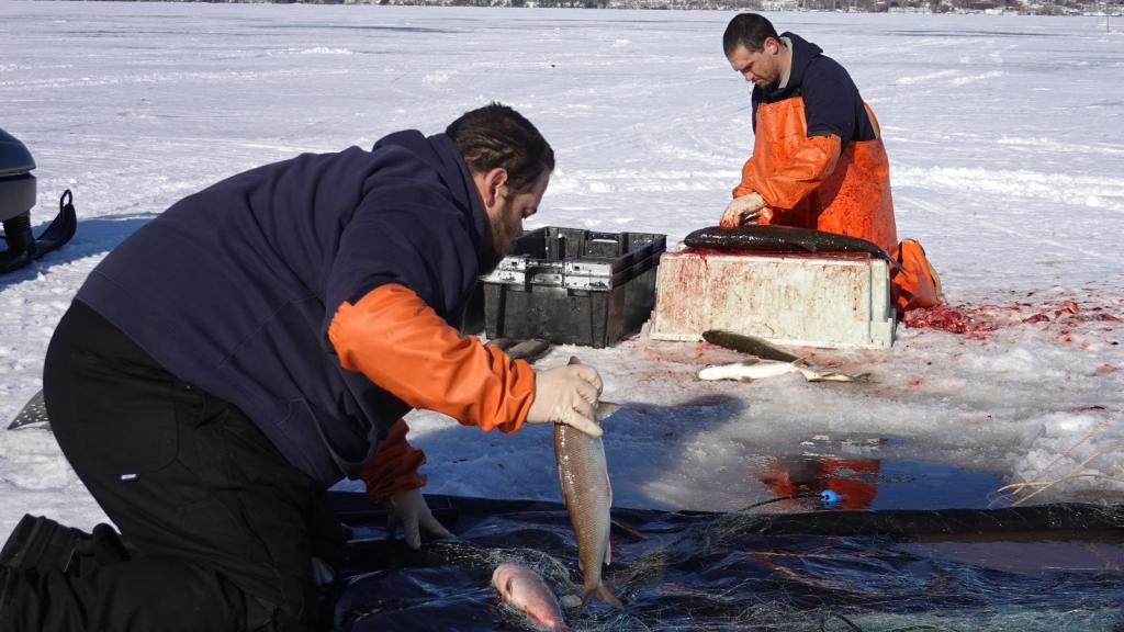 Two people fishing on a frozen Lake Suoerior. One is holding a fish above a hole in the ice.