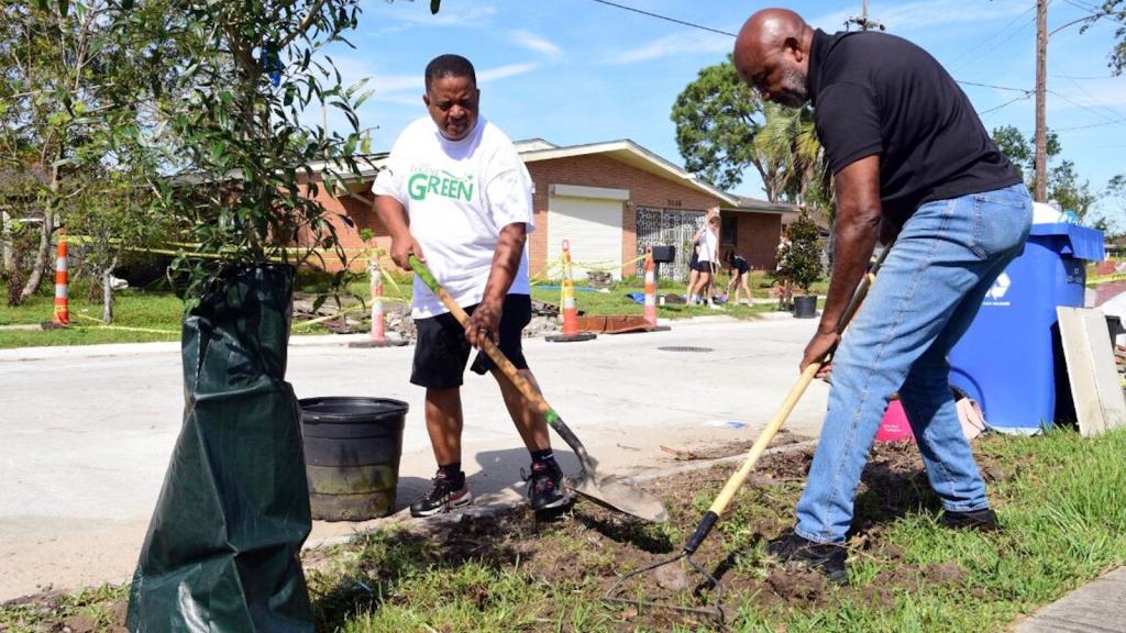 Two. men are digging a hole to plant a tree.