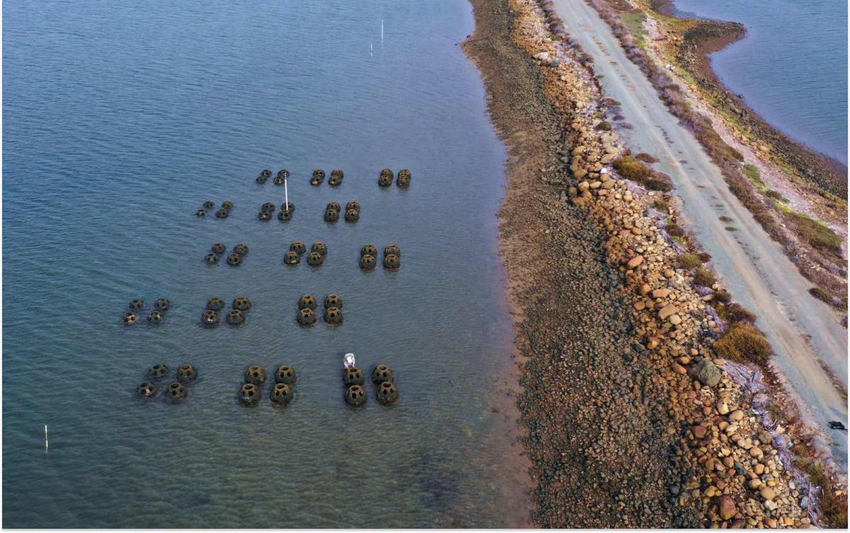 An aerial photo shows a thin stretch of coastline with a road on it, and in the shallow water there are clusters of spherical structures