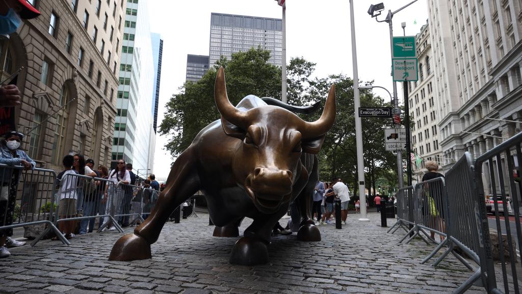 View of the Wall Street bull statue, facing its head.
