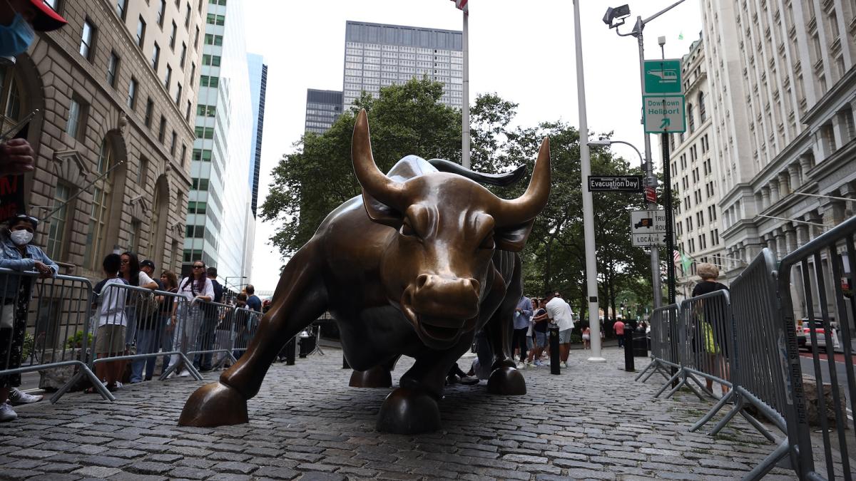 View of the Wall Street bull statue, facing its head.