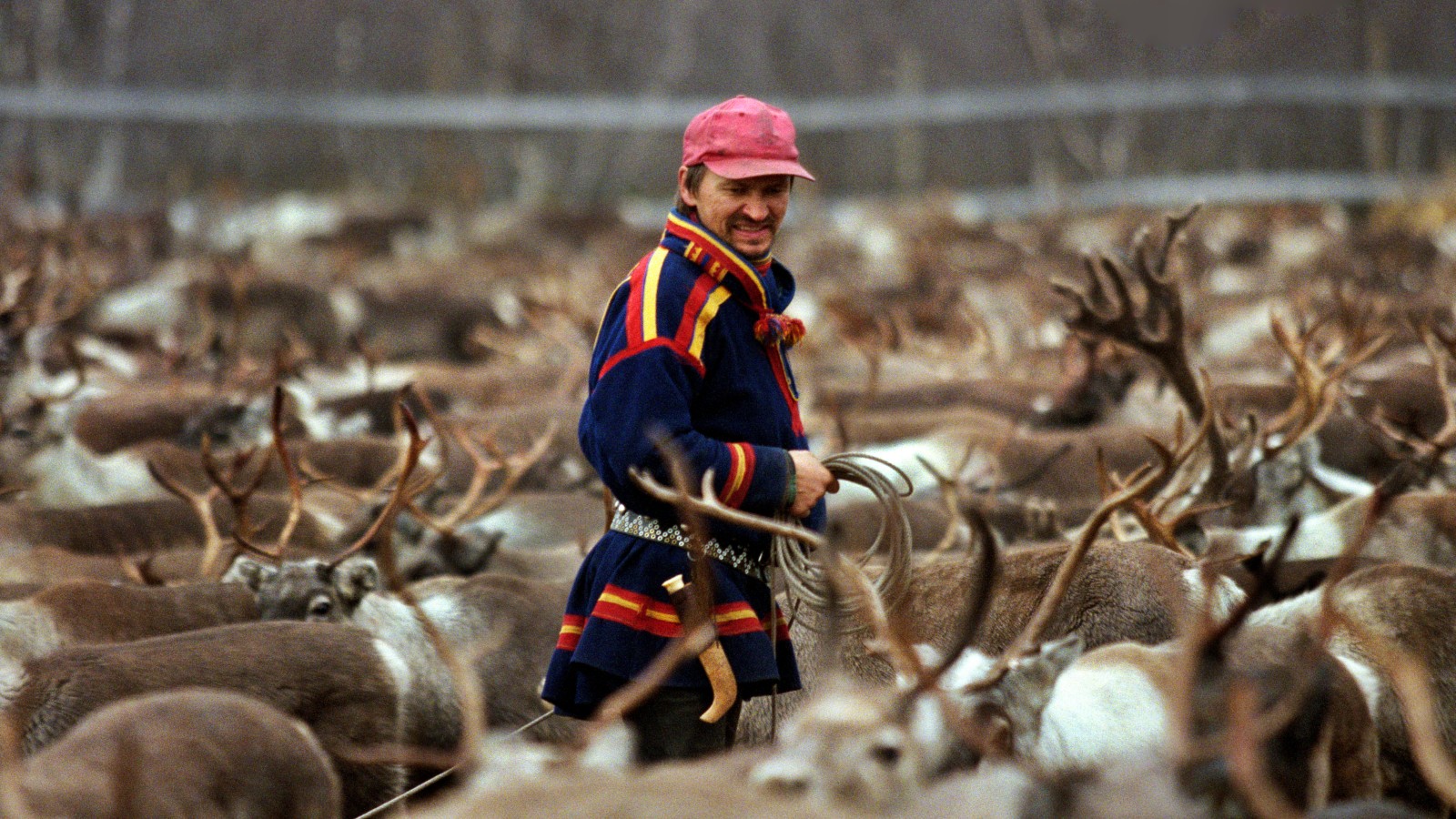 photo of Sámi need better legal protections to save their homelands image