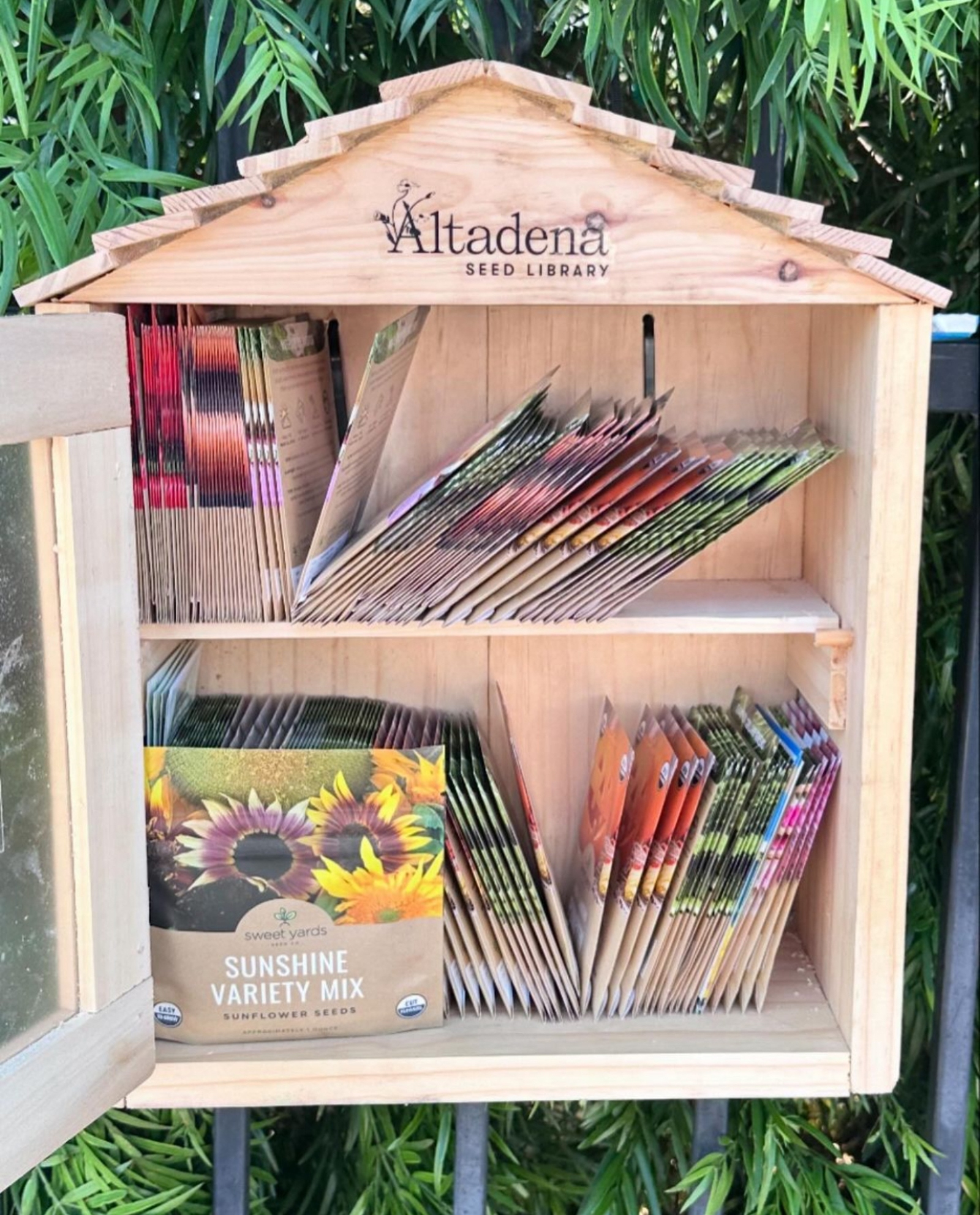 An upright wooden box filled with seeds for planting