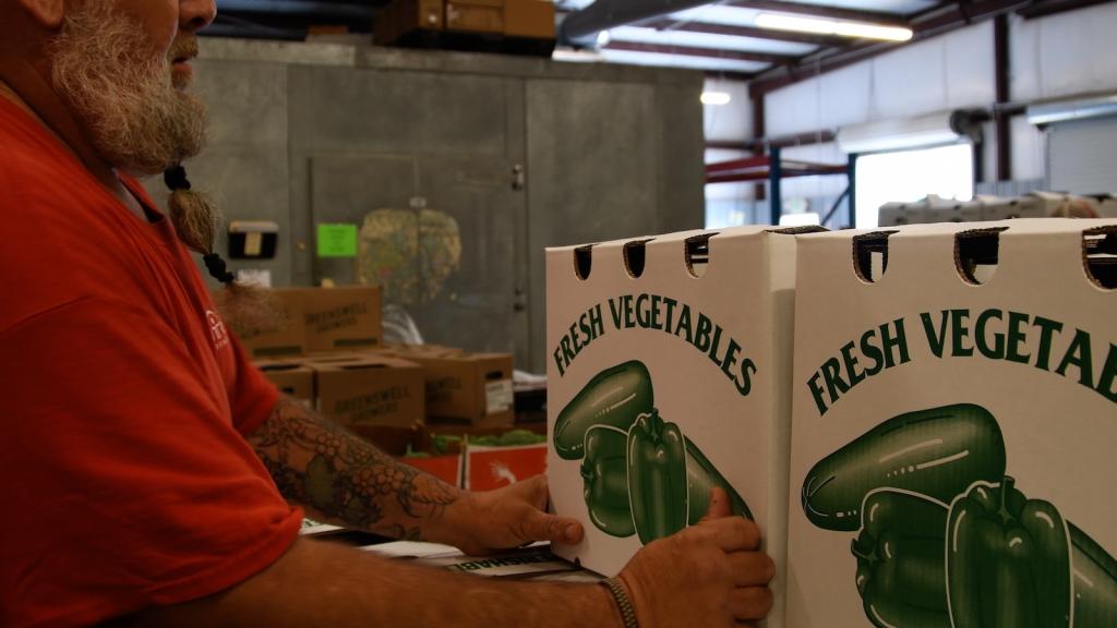 A person packs a food box of fresh vegetables