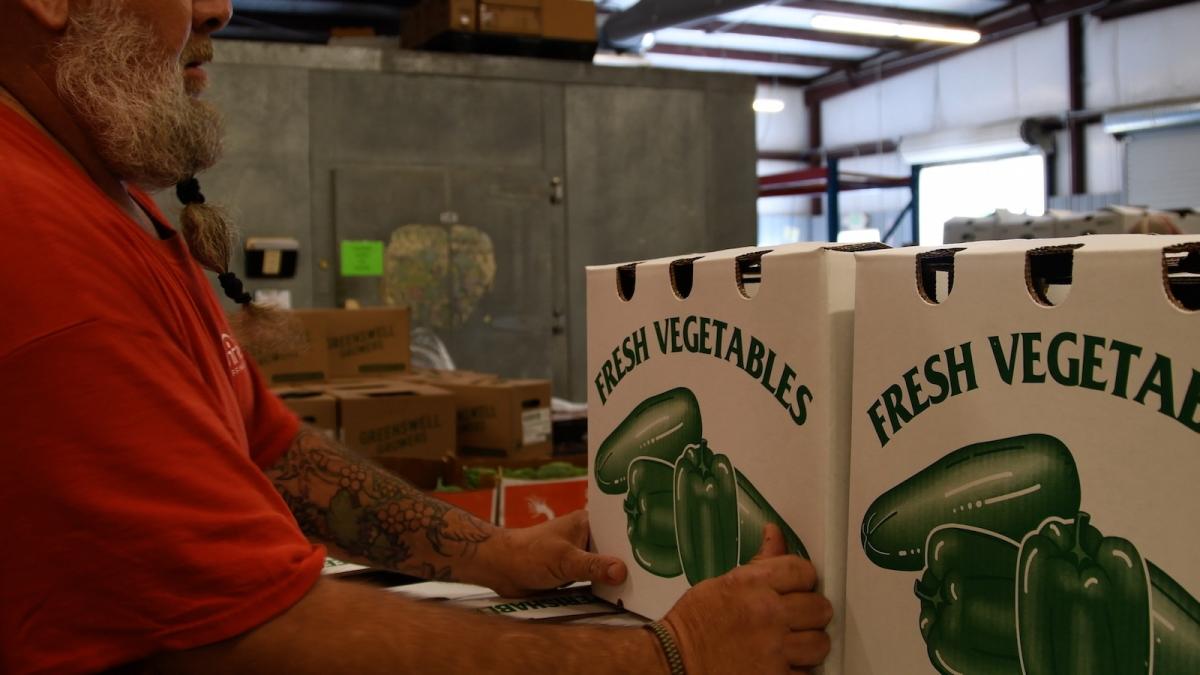 A person packs a food box of fresh vegetables