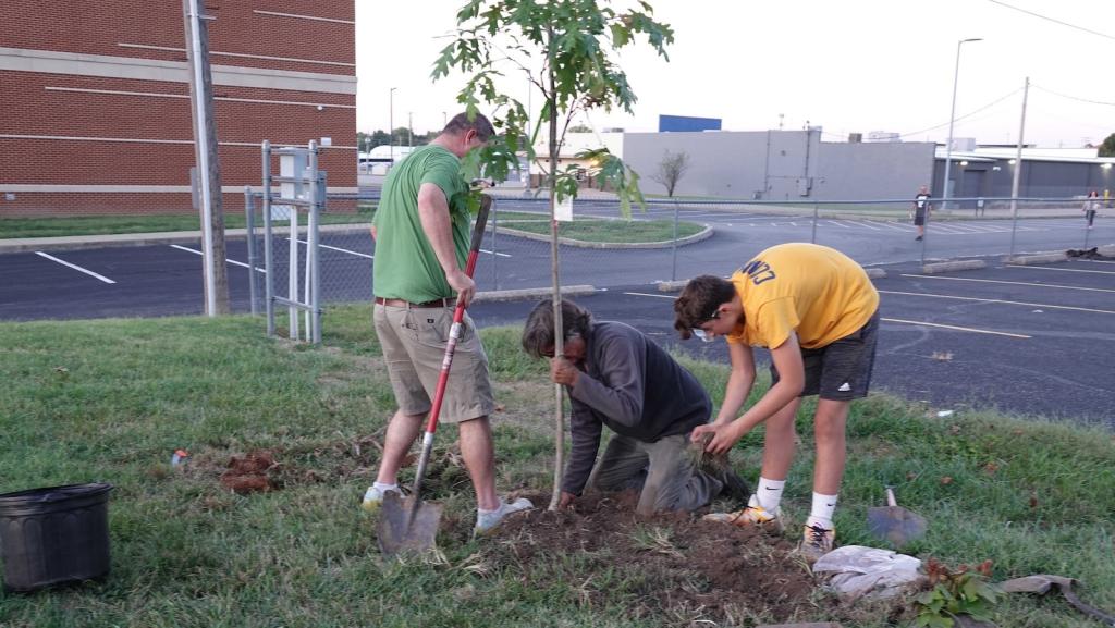 Three young men planting a tree into the ground.