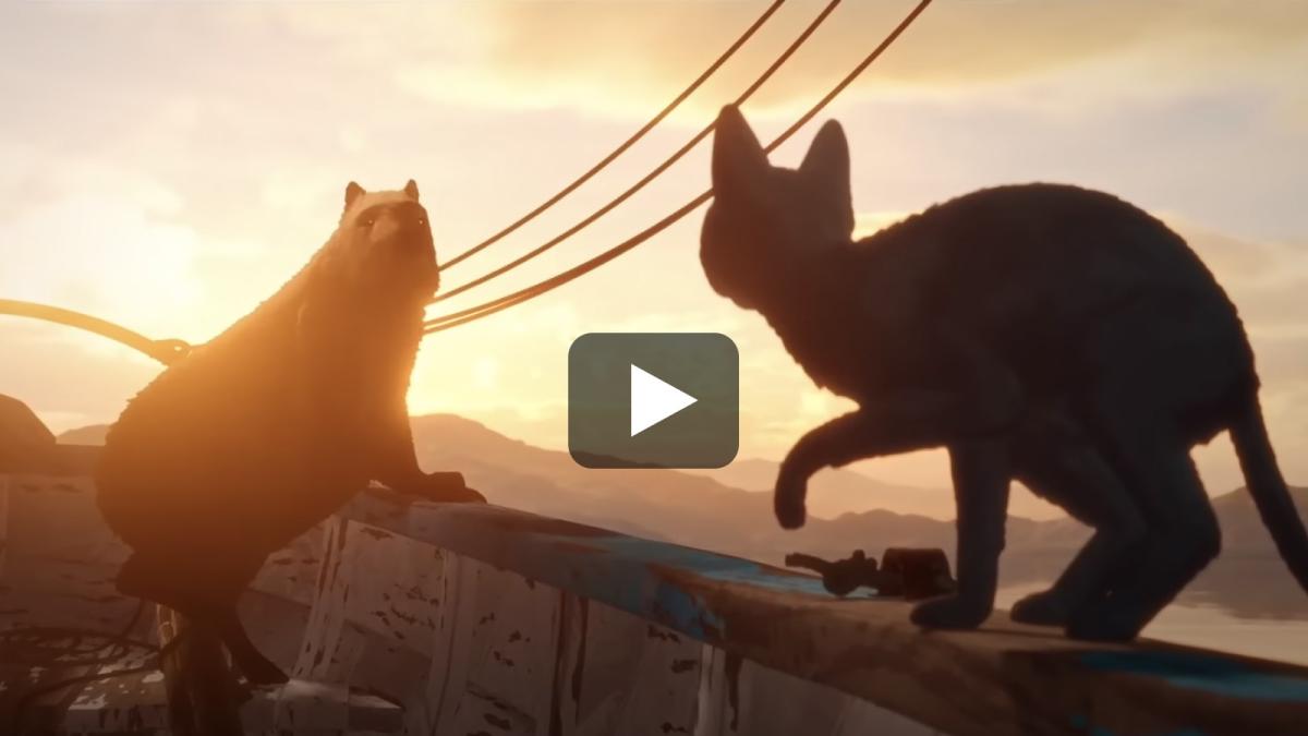 A still image of an animated cat and capybara perched on the edge of a boat, with a play button over the image