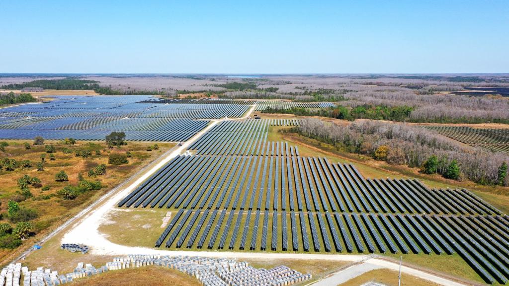 A sea of solar panels stretches out on a flat field
