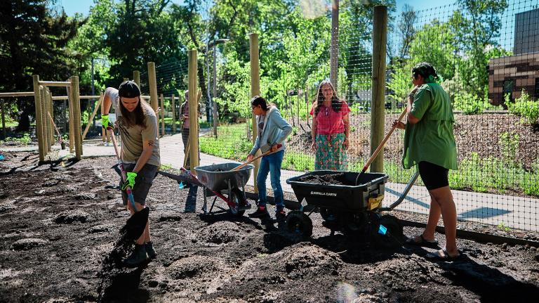 Members of the Buffalo Nations Food Sovereignty community dig into soil with shovels in a sunny garden