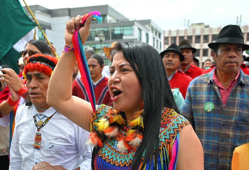 A woman in traditional Indigenous clothing holds her fist aloft during a protest
