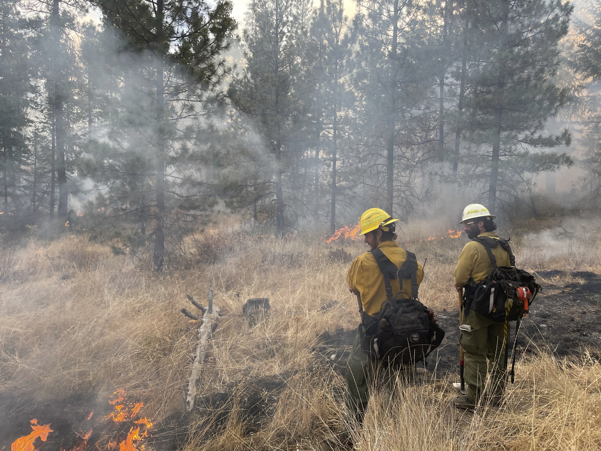 How Washington State pioneered an ‘all hands, all lands’ wildfire prevention strategy