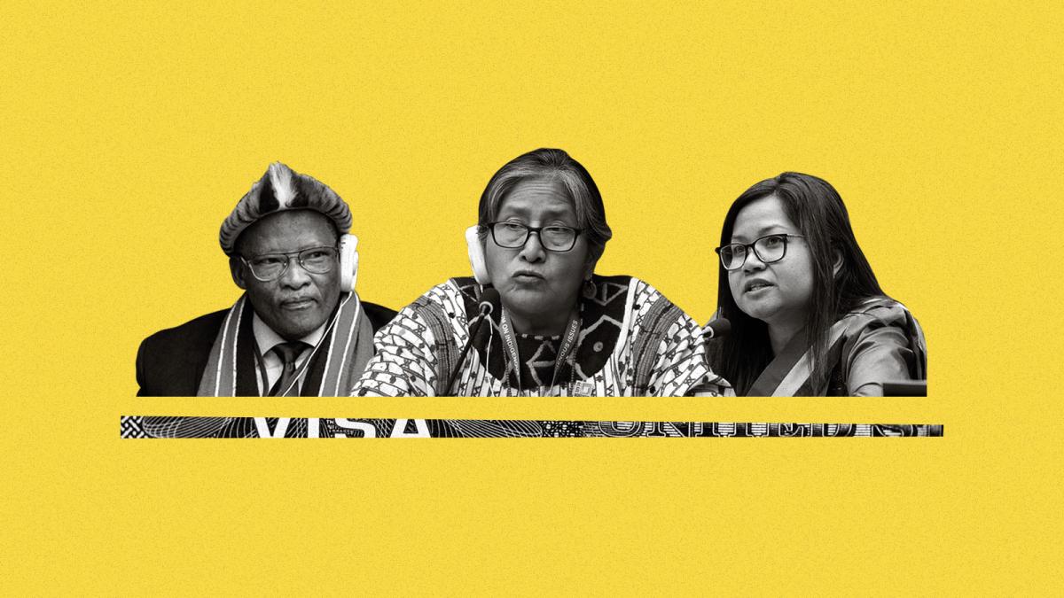 Collage of UN Permanent Forum on Indigenous Issues attendees and snippet of visa paperwork