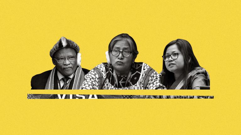 Collage of UN Permanent Forum on Indigenous Issues attendees and snippet of visa paperwork