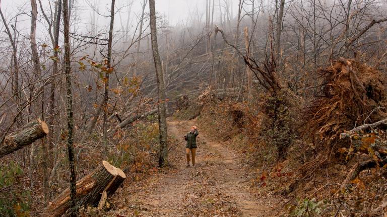 An ecologist surveys the damage Hurricane Helene caused in the Elk Mountains of western North Carolina.